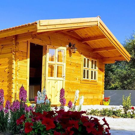 Cyprus Glamping Park Hotel Agios Theodoros Ngoại thất bức ảnh