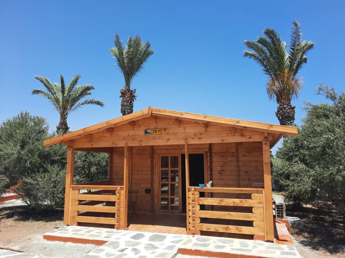 Cyprus Glamping Park Hotel Agios Theodoros Ngoại thất bức ảnh