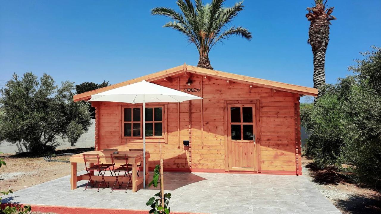 Cyprus Glamping Park Hotel Agios Theodoros Ngoại thất bức ảnh