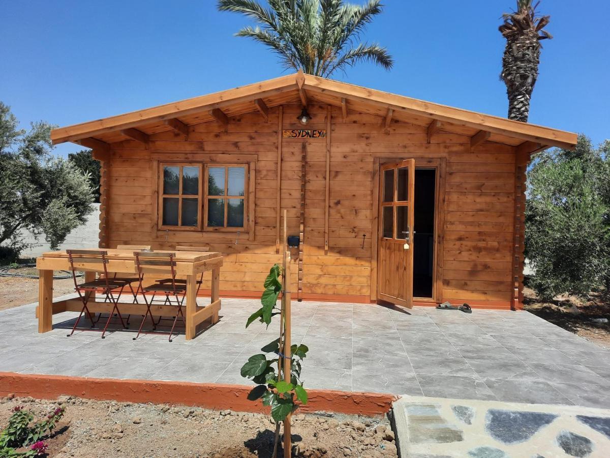 Cyprus Glamping Park Hotel Agios Theodoros Ngoại thất bức ảnh